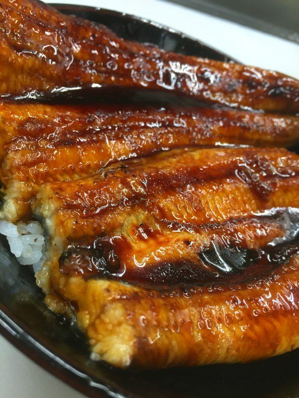 高知産 うなぎ蒲焼き - 通販・お取り寄せ | 上町池澤本店