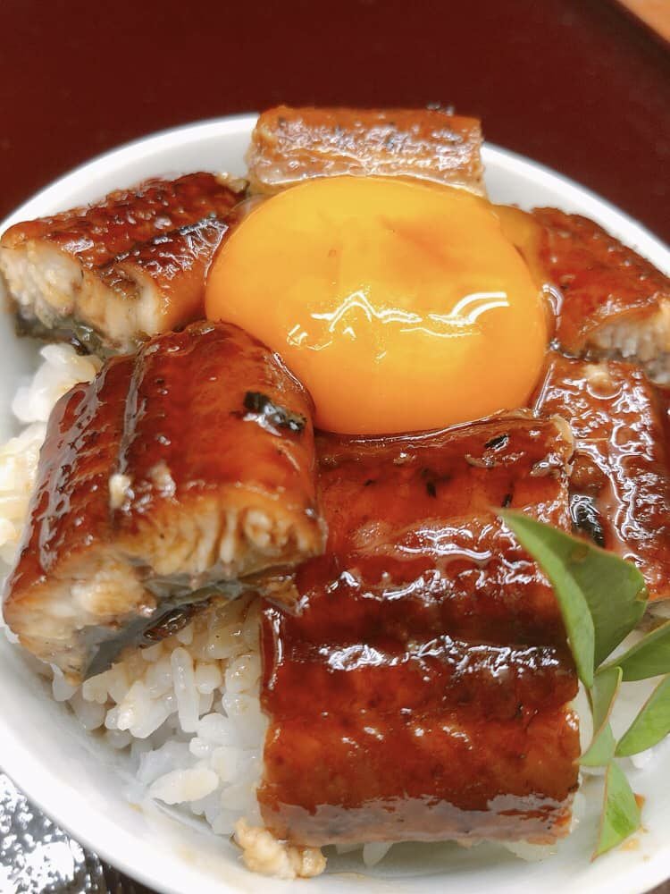 高知産 うなぎ蒲焼き - 通販・お取り寄せ | 上町池澤本店